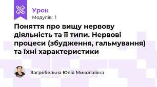 Поняття про вищу нервову діяльність та її типи. Нервові процеси (збудження, гальмування) та їхні характеристики