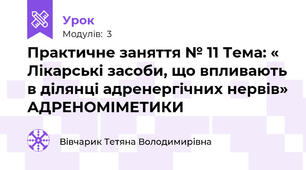 Практичне заняття № 11 Тема: « Лікарські засоби, що впливають в ділянці адренергічних нервів» АДРЕНОМІМЕТИКИ