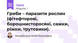 Гриби – паразити рослин (фітофторові, борошнисторосяні, сажки, ріжки, трутовики). 