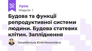 Будова та функції репродуктивної системи людини. Будова статевих клітин. Запліднення 