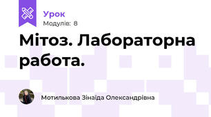 Мітоз. Лабораторна работа.