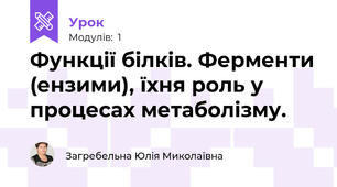 Функції білків. Ферменти (ензими), їхня роль у процесах метаболізму.