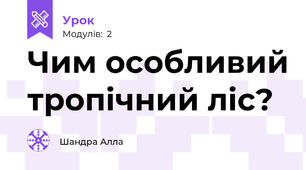 Чим особливий тропічний ліс?