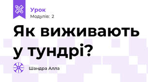 Як виживають у тундрі?