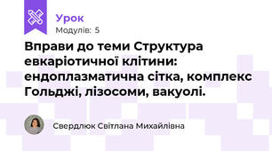 Вправи до теми Структура евкаріотичної клітини: ендоплазматична сітка, комплекс Гольджі, лізосоми, вакуолі.