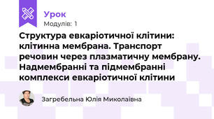 Структура евкаріотичної клітини: клітинна мембрана. Транспорт речовин через плазматичну мембрану. Надмембранні та підмембранні комплекси евкаріотичної клітини