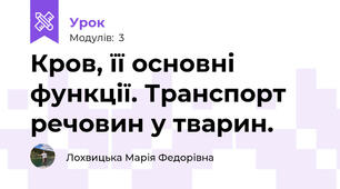 Кров, її основні функції. Транспорт речовин у тварин.