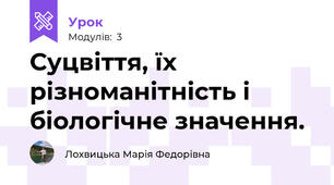 Суцвіття, їх різноманітність і біологічне значення.