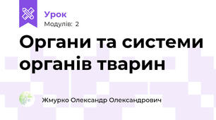 Органи та системи органів тварин