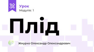 Плід