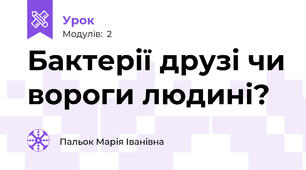Бактерії друзі чи вороги людині?