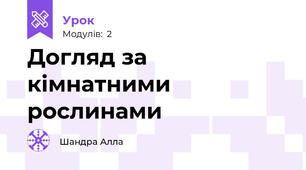 Догляд за кімнатними рослинами