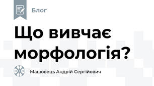 Що вивчає морфологія?