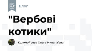 "Вербові котики"