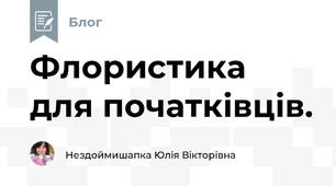 Флористика для початківців.
