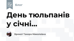 День тюльпанів у січні...