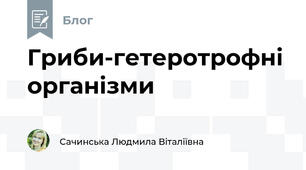 Гриби-гетеротрофні організми