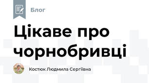 Цікаве про чорнобривці