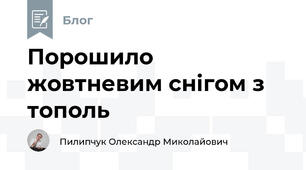 Порошило жовтневим снігом з тополь