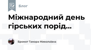 Міжнародний день гірських порід...