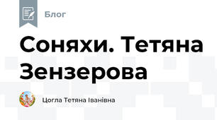 Соняхи. Тетяна Зензерова 
