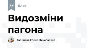 Видозміни пагона