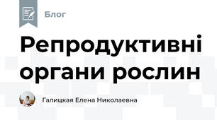 Репродуктивні органи рослин