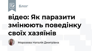 відео: Як паразити змінюють поведінку своїх хазяїнів