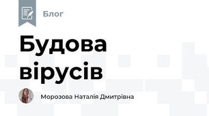 Будова вірусів