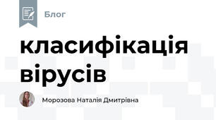 класифікація вірусів