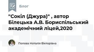 "Сокіл (Джура)" , автор Білецька А.В. Бориспільський академічний ліцей,2020