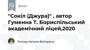 "Сокіл (Джура)" , автор Гуменна Т. Бориспільський академічний ліцей,2020