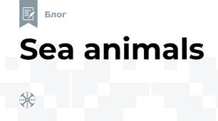 Sea animals