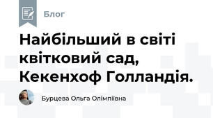  Найбільший в світі квітковий сад, Кекенхоф Голландія.
