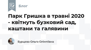 Парк Гришка в травні 2020 - квітнуть бузковий сад, каштани та галявини