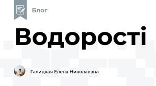Водорості