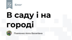 В саду і на городі