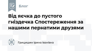 Від яєчка до пустого гніздечка Спостереження за нашими пернатими друзями