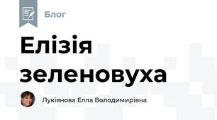  Елізія зеленовуха
