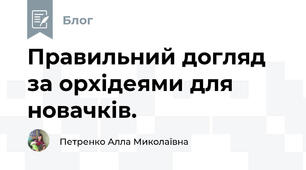 Правильний догляд за орхідеями для новачків.