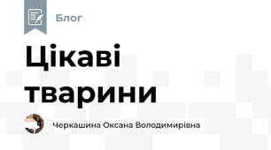 Цікаві тварини