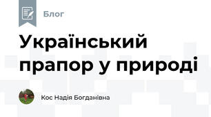 Український прапор у природі