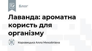 Лаванда: ароматна користь для організму