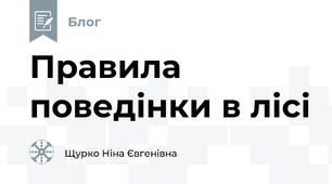 Правила поведінки в лісі