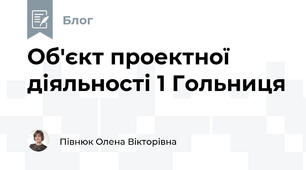 Об'єкт проектної діяльності 1 Гольниця