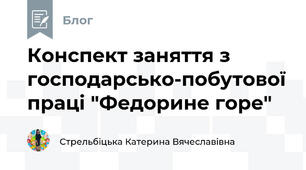 Конспект заняття з господарсько-побутової праці "Федорине горе"
