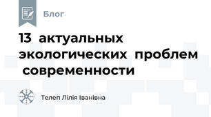13  актуальных   экологических  проблем  современности