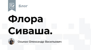 Флора Сиваша.