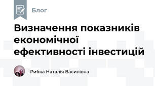 Визначення показників економічної ефективності інвестицій