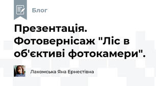 Презентація. Фотовернісаж "Ліс в об'єктиві фотокамери".